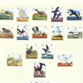 19_AscensionIsland_3