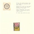 Scan 33.