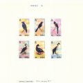 45_Belize_7