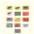 40_Belize_2