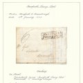 Scan 6.